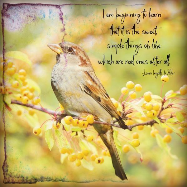 Inspirational Tuesday - I am beginning to learn that it is the sweet, simple things - Netties Expressions