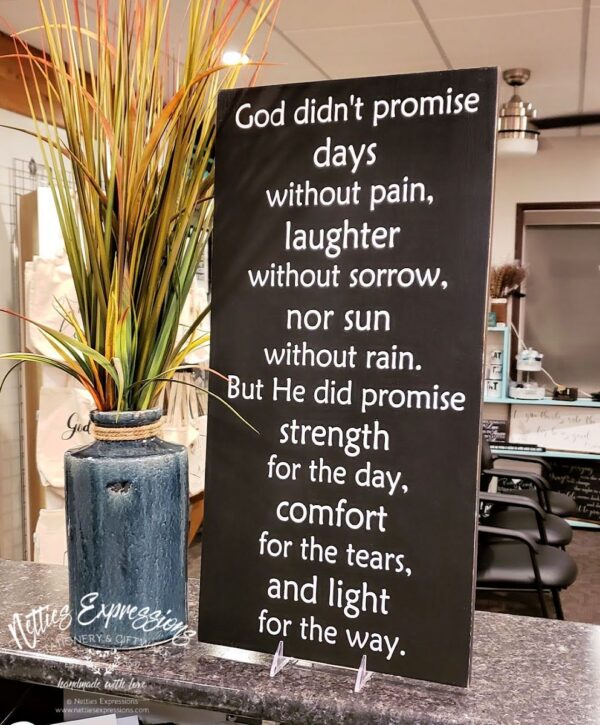 12x24-god-didnt-promise-ravenandsnowwhite_c7abc118-3660-4f44-964e-26dd0180e432 God didn't promise days without pain - Rustic Wood Sign - Netties Expressions