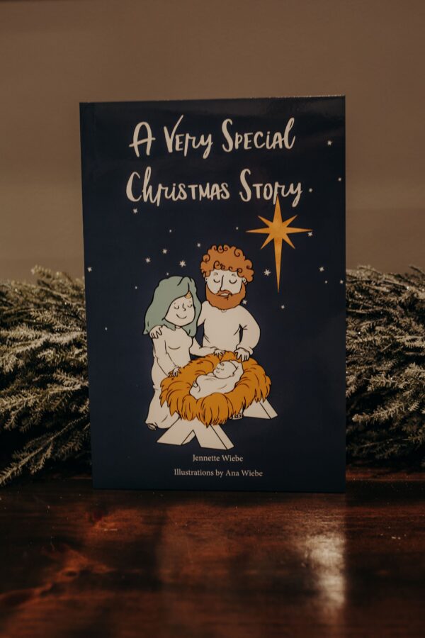 A Very Special Christmas Story - Bible Story Book - Netties Expressions Children's Books