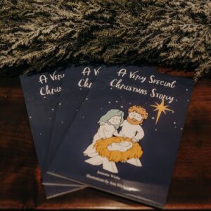 A Very Special Christmas Story - Bible Story Book