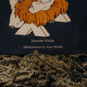 A Very Special Christmas Story - Bible Story Book