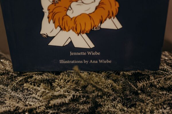 A Very Special Christmas Story - Bible Story Book - Netties Expressions Children's Books
