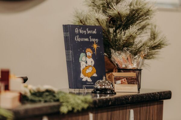 A Very Special Christmas Story - Bible Story Book - Netties Expressions Children's Books
