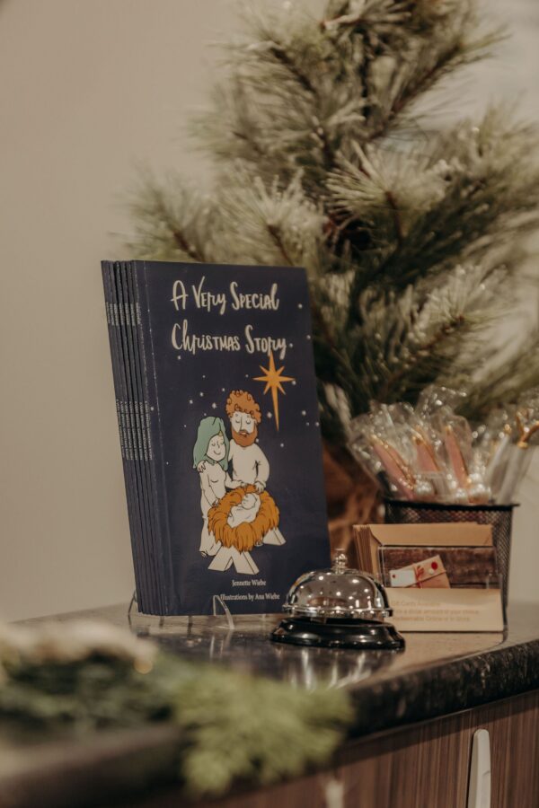 A Very Special Christmas Story - Bible Story Book