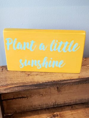 4x7_-_Plant_a_little_sunshine_-_Shop_door_-_Robyn_s_Egg_e312c59e-e9cf-45ba-ba93-e1d6016e096d Plant a little sunshine - Rustic Wood Sign - Netties Expressions