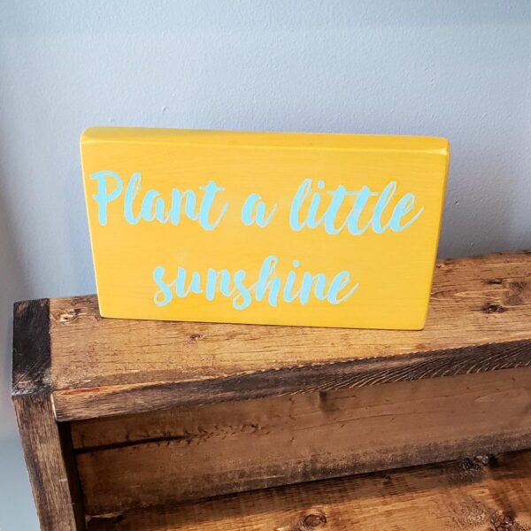 4x7_-_Plant_a_little_sunshine_-_Shop_door_-_Robyn_s_Egg_e312c59e-e9cf-45ba-ba93-e1d6016e096d Plant a little sunshine - Rustic Wood Sign - Netties Expressions