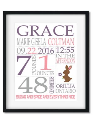 Baby-Stats-Style-C-Girl-Bunny-Coltman-Baby-frame_fe3d5c3b-09be-4bdf-850d-44143bbe4d9b Baby Girl Stats - Art Print - Netties Expressions Prints