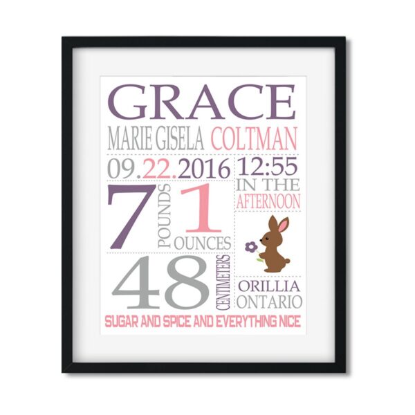 Baby Girl Stats - Art Print - Netties Expressions Prints