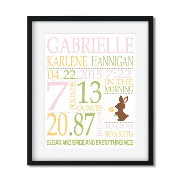 Baby Girl Stats - Art Print - Netties Expressions Prints
