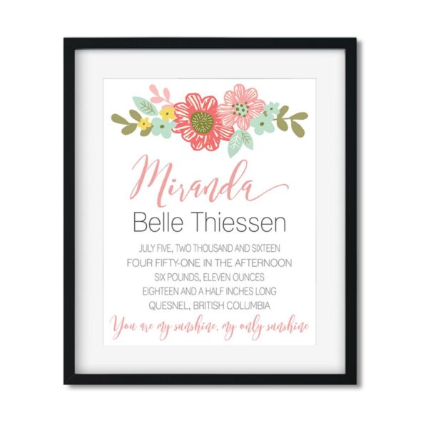 Baby-Stats-Style-D-Girl-Delicate-M.-Thiessen-frame_4bf30e1b-d28b-4925-8fe0-af9ce2bcce1d Baby Girl Stats - Art Print - Netties Expressions Prints