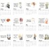 2021 Desktop Calendar - Fashion - Netties Expressions